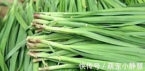 选购韭菜时,看到这4种扭头就走,摊主:眼真尖,是识货的主!