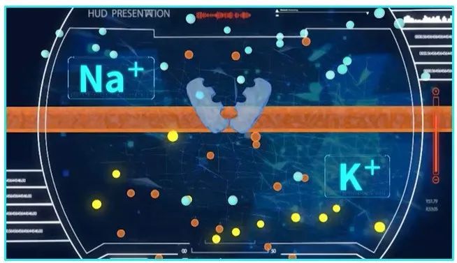 降脂药|吃低钠盐吃到心脏骤停?生活中暗藏的这些心血管致命陷阱,你一定要知道!