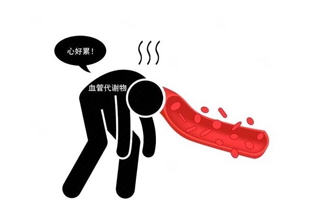 糖原|保护血管饮食有禁忌?平日少吃“2白”,多吃“3黄”,血栓难形成