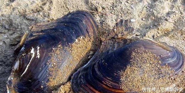 冕旒|鲁荒王墓中发现一顶冕旒冠,为何上面珠子不全,后在盒底找到原因