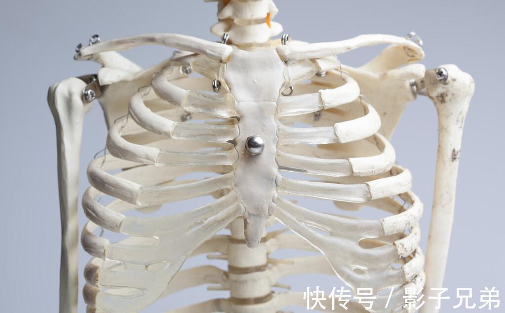 骨骼年龄|109岁老人,骨骼年龄只有50岁,长寿秘诀不是多走路,而是这3件事