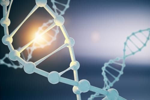 研究|宝宝“出生季节”和智商有关？研究表明：该季节出生的宝宝更聪明