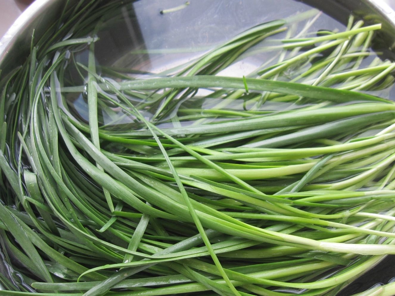 买韭菜，分清“宽叶”和“细叶”，口感差别大，弄懂再买不被忽悠