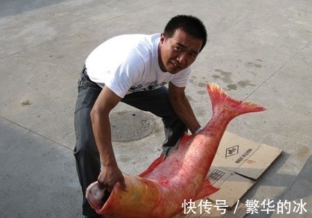 放长线沉底钓的装备和钓组结构,爱钓大鱼的你别错过