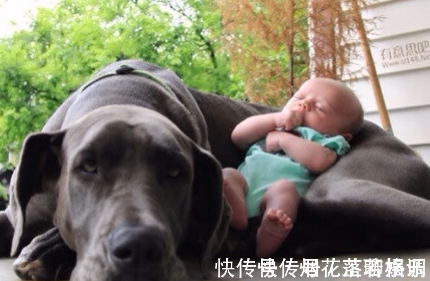 |笑话:您太客气了,不用送太多,好看的两个就够。”