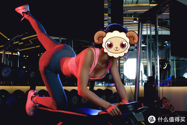 背阔肌|百元内最高效划算减肥、燃脂、塑身器械推介，瘦起来效果挡不住（动图多慎重）