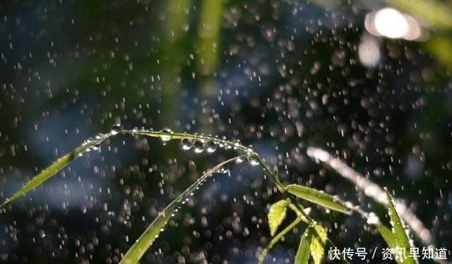 一声声一更更，点滴芭蕉心欲碎，7首古诗词，听雨落下的声音