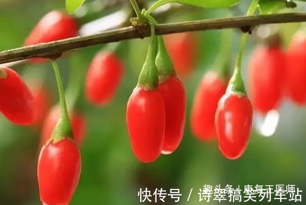 泡水|枸杞到底生吃好,还是泡水喝好?很多人都搞错了,不妨来了解下