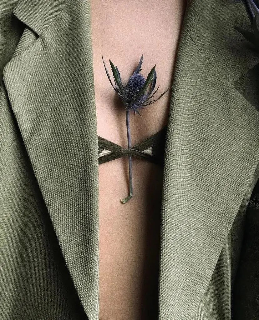 狄金森#诗人酒馆 | 艾米莉?狄金森:我从未看过荒原