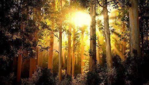 命门穴|中医为你解密，阳气为什么可以治百病？3招补足阳气，肾会感激你