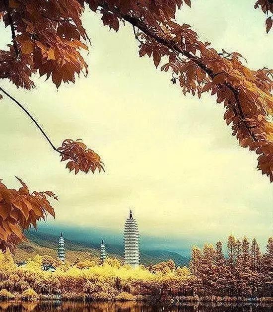 传来|太美了,世界照片今天终于传来,罕见至极,一睹为快