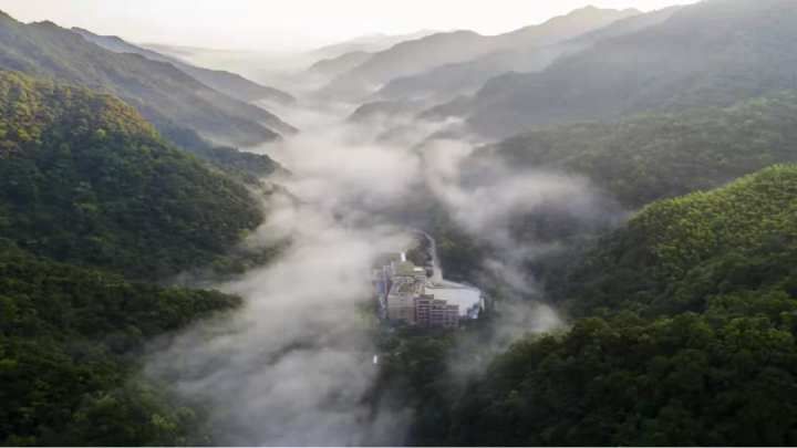 网红打卡地|既卖茶也“卖”风景！宁海深甽万亩茶园寻得新商机