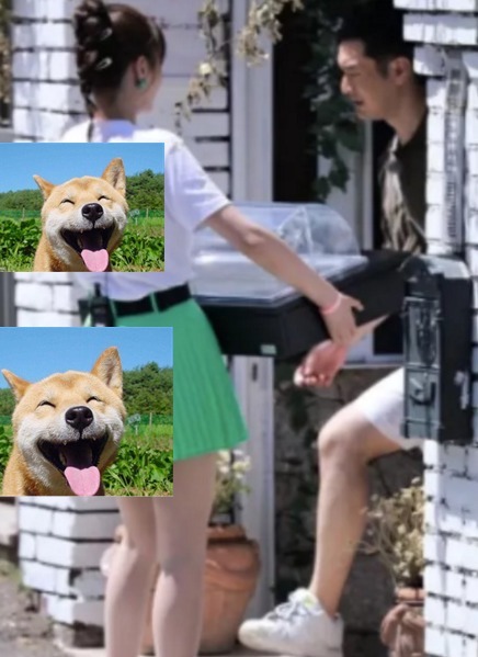 楊穎|沈夢辰獨自搬重物，黃曉明視而不見，杜海濤的做法引起爭論