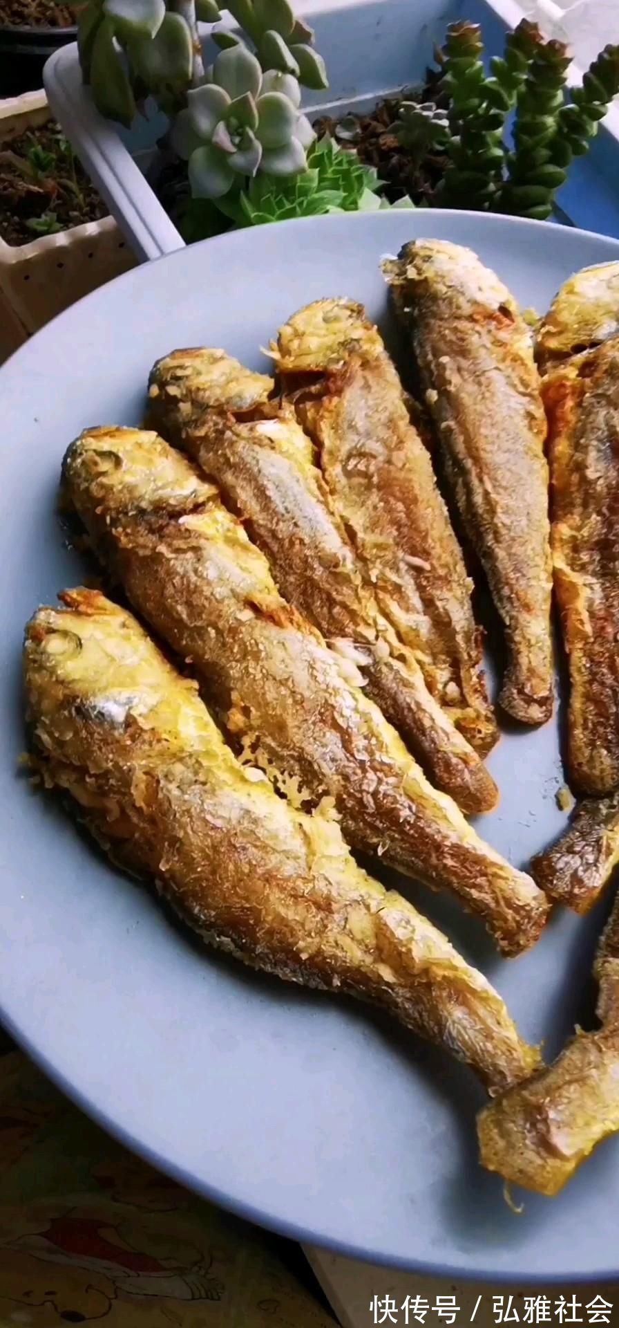 被人“误会”太深的鱼，比鲫鱼营养，10元买一斤，却无人问津