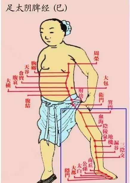 每个人的小腿内侧,都隐藏着一个“秘密”