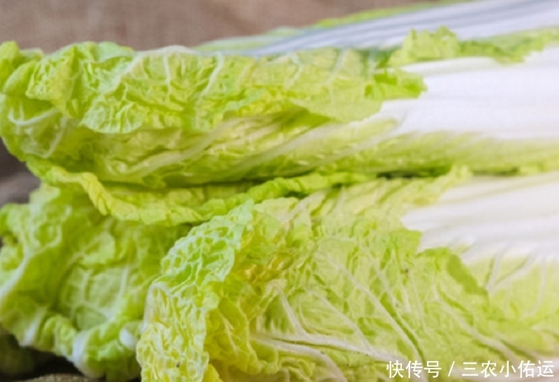 味道鲜美|娃娃菜味道鲜美,营养丰富,让更优质的娃娃菜上市,仅需做好三点