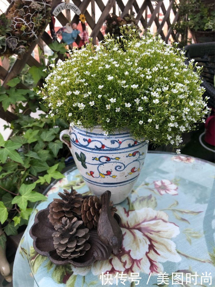 阳台|DIY改造17㎡屋顶花园,忙得不亦乐乎,在喧嚣城市打造一隅静谧