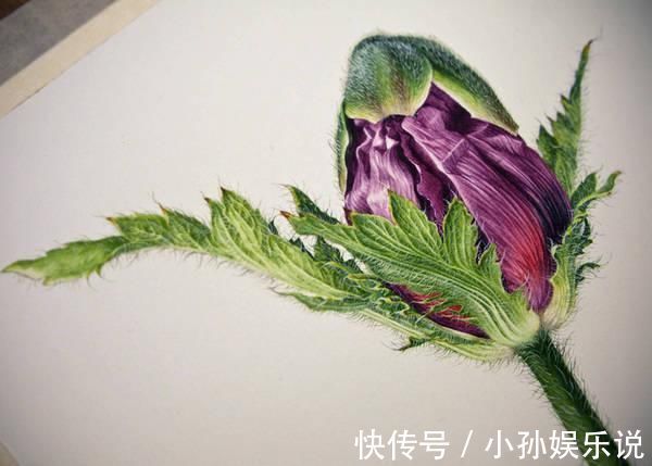 花卉#一位全职妈妈喜欢疯狂画画，教你画水彩花卉