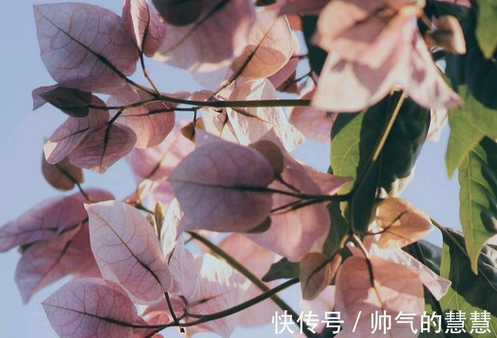 星座|有傲骨、很难讨好他人的星座,不活在世俗的眼光下,追求本心