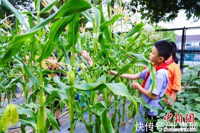 绍兴市|“双减”背景下“三问”浙江绍兴“课后服务”如何提质增效