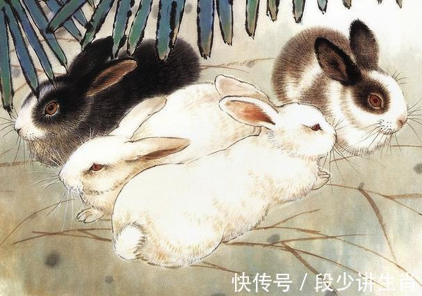 生肖兔生肖兔|11月27日到12月起，人生大放光彩，人生迎来大转折的3大生肖