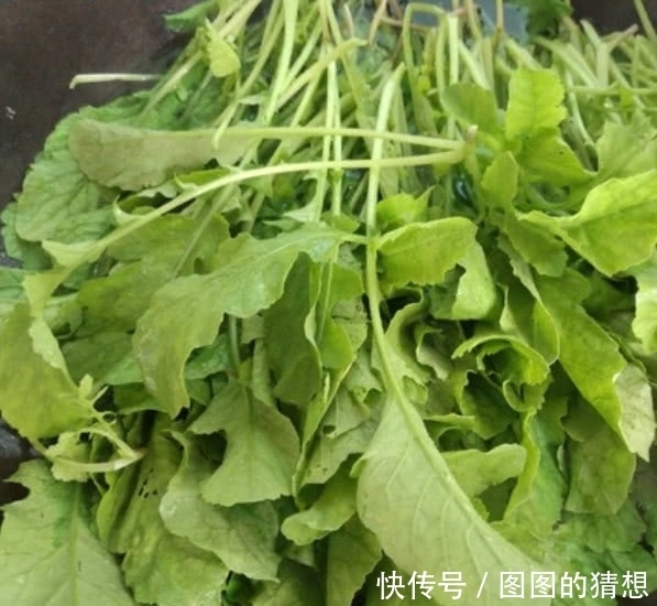 图片来源网络|买萝卜的时这种叶子很少有人要,却是种天然野菜,一斤能卖20元