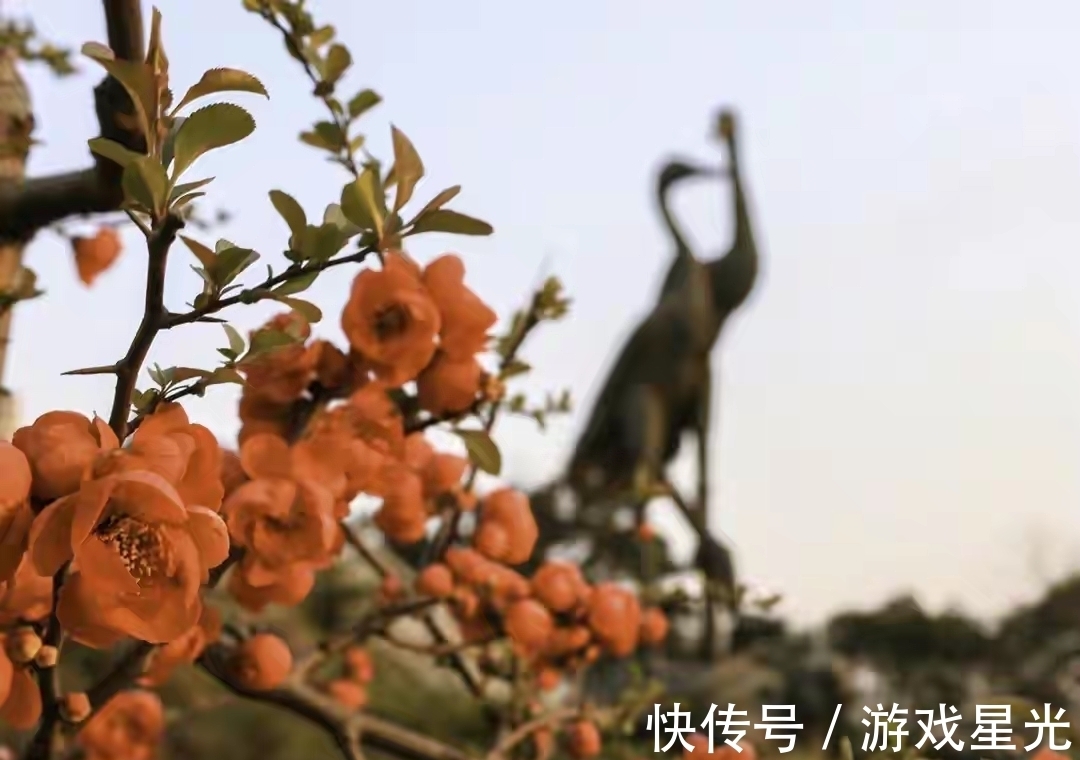 李峤#写风的诗,我心中第一的居然不带“风”字