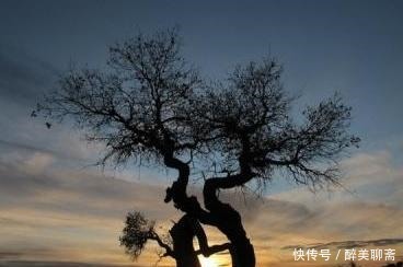 李煜暮年的一首词,笔触细致,读完令人心碎