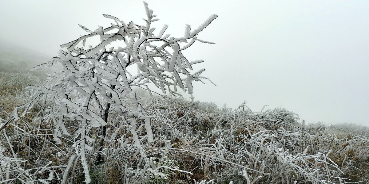 广西|广西灌阳高山雪景迎客来