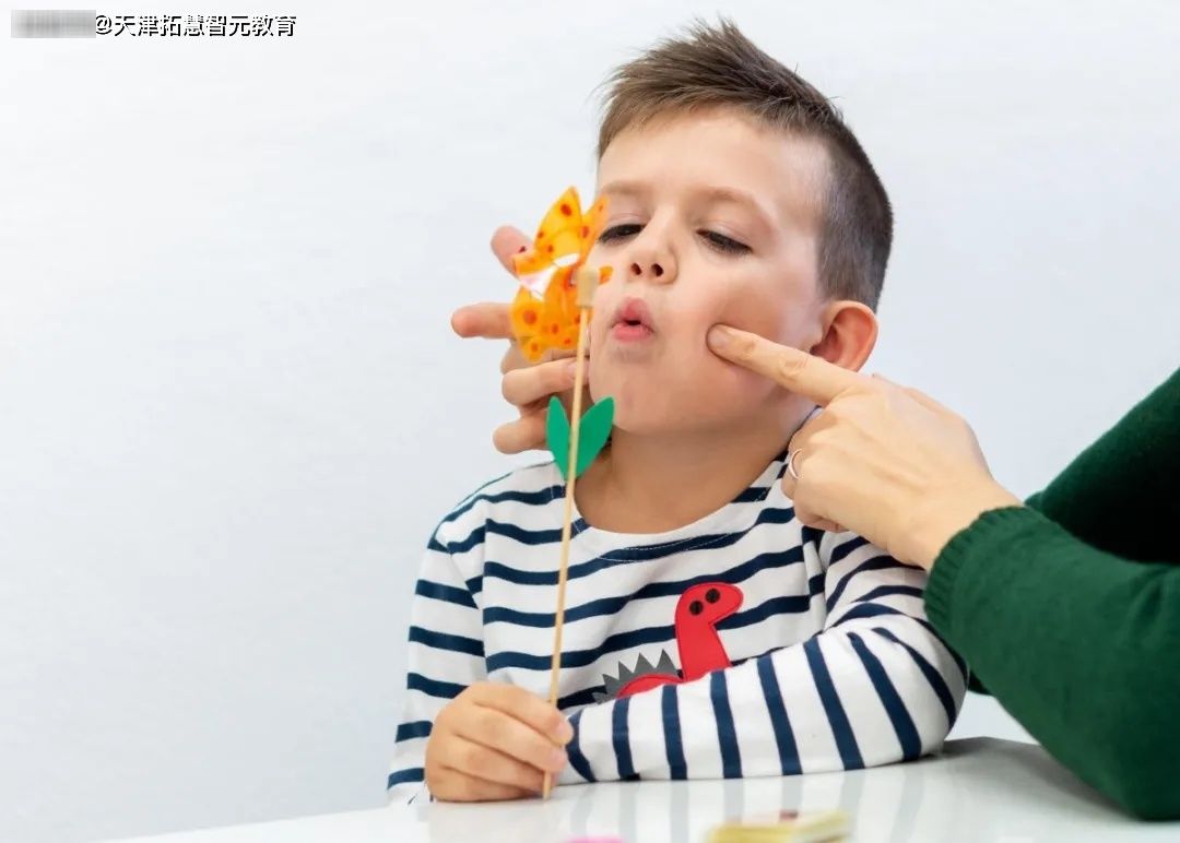 自闭症孩子的语言问题，只有靠口肌训练才能解决吗？口肌训练是必须的吗？