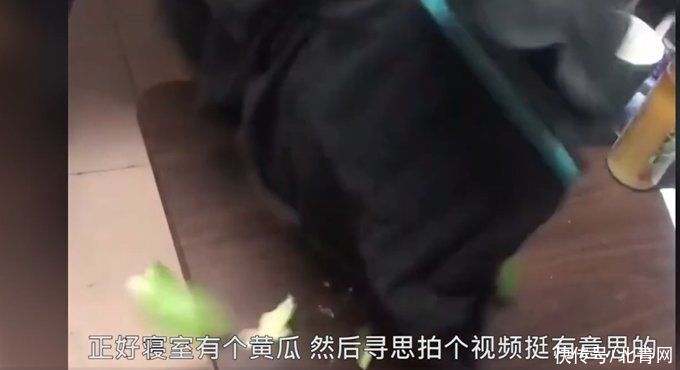 东北大学生用冻硬的裤子切黄瓜，直接碎了，南方舍友惊呆