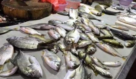 鱼刺|这3种鱼已进入“黑名单”,可父母还在买,害了孩子还不自知