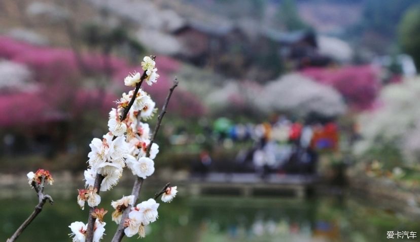 一日穿越四朝，恍若梦回千年