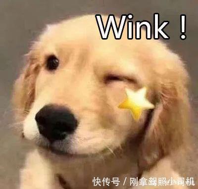 先别买针织衫!今秋必买的上衣是这件,配西装外套太好看了