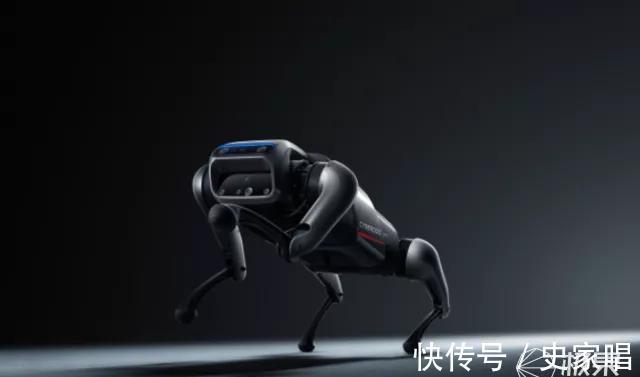 小鹏汽车|小鹏发布可骑乘「智能马」!可聊天可取快递,长相太奇葩