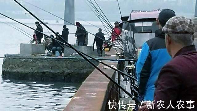 湖南湘江边的钓鱼大军,隆冬的严寒也不能阻挡,有人直接以此赚钱