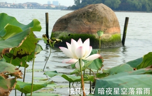 节气|大暑小暑不是暑,立秋处暑正当暑,处暑是什么时候,会很热吗