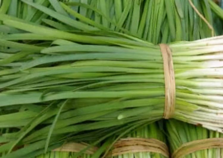 礦物質(zhì)|40歲女性多吃3種食物，美容養(yǎng)顏、延緩衰老，早吃早健康