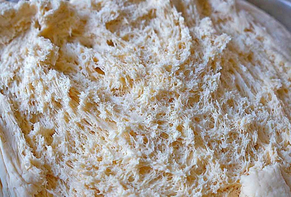 茴香|弟媳妇包的大包子，味道太棒了，方法特简单，快给家人做一锅