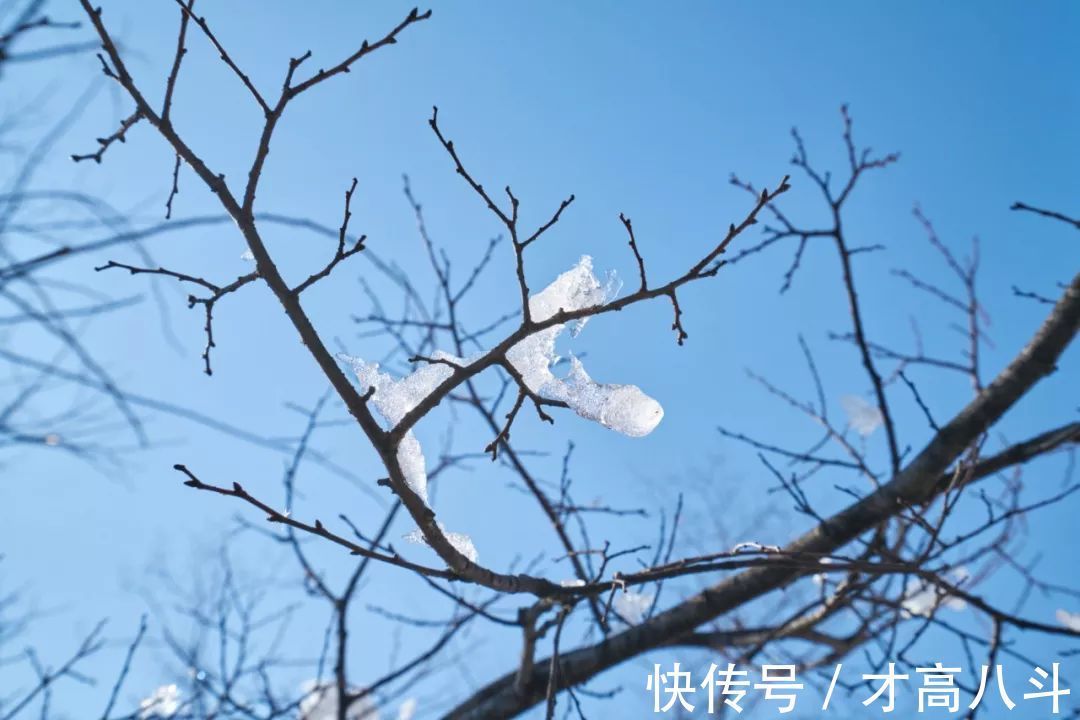 诗词!岁月沧桑,8句诗词,感受古人的人生领悟!