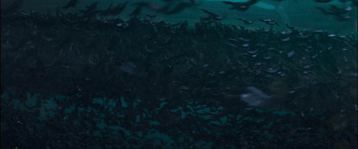 鐵三角|《掃黑風暴》接近收官，《云南蟲谷》火速上線，探險視效拉滿怎么還被吐槽？