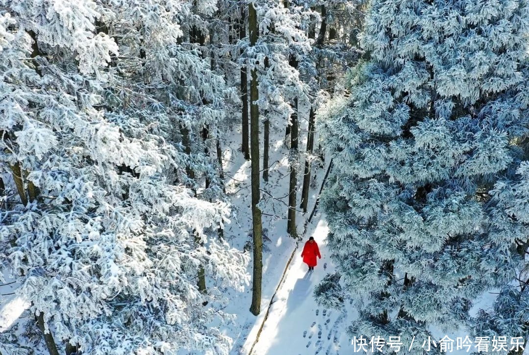 雪景|遂昌大美雪景图！让你一次看个够