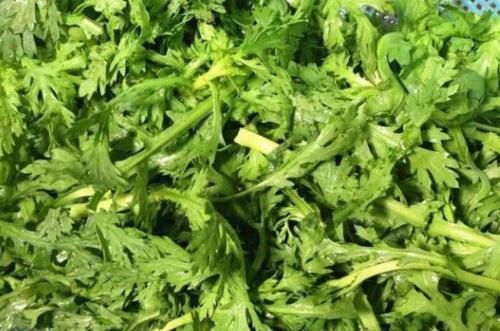 肠胃|女性到了中年想要肠胃好,夏天多吃三种食物,延缓衰老,养护肠胃