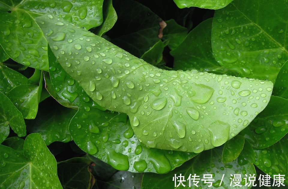 温度|最是一年春好处,转发此文会春捂?雨水将至,教你4个步骤来春捂