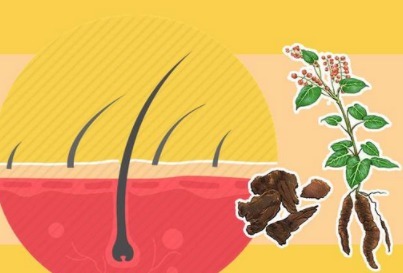 肾脏|3种中药伤肝又伤肾!你却还当良药来服用!专家:无知害死人!