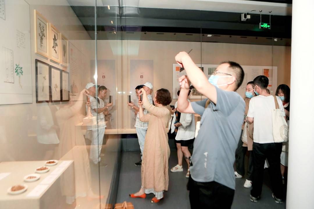 四川省|保护发展非遗“活化石” 传统医药、川茶专委会杜甫草堂“双雄会”