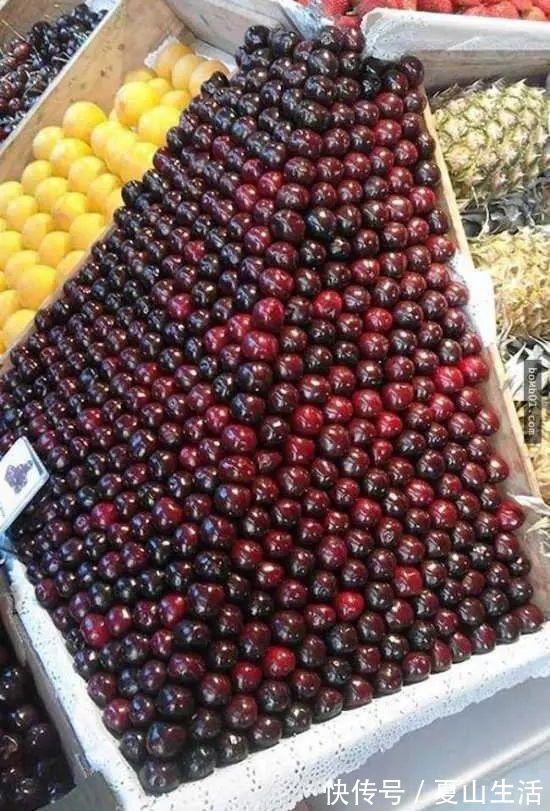 照片&这些照片巧妙得非常艺术,处女座看了很过瘾,连蛇也有“强迫症”