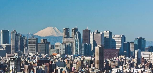 知识分子|日本人为什么不谈“爱国”知识分子不愿意,百姓不喜欢