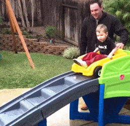 |搞笑GIF趣图:一直都不理解什么是“稳如狗”,直到看了这个GIF