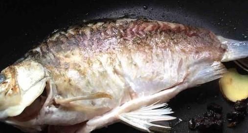  流行|现在流行吃鱼有几种危害的鱼早该禁止了，现在还有人经常吃